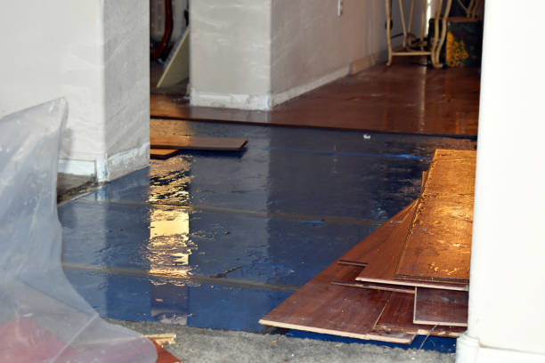 Professional Basement Flood Cleanup technician working in Amherst, NH